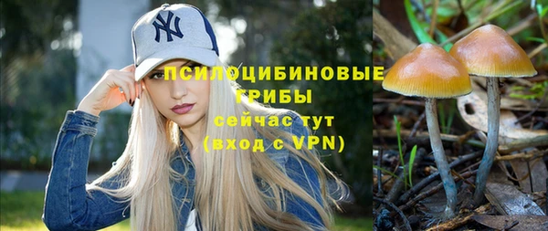 марихуана Абаза