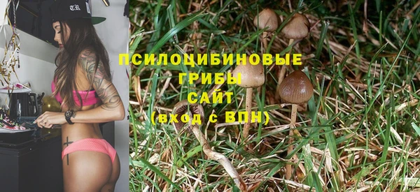 спайс Абдулино